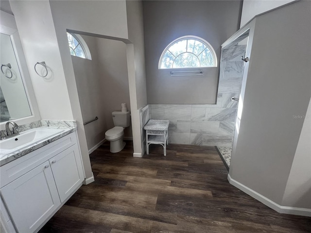 bathroom with vanity, wood-type flooring, and toilet