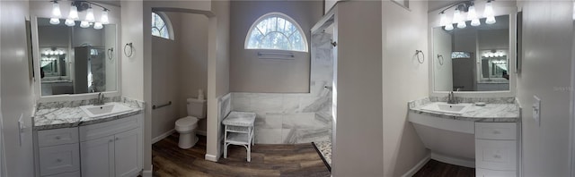 bathroom with hardwood / wood-style flooring, vanity, and toilet