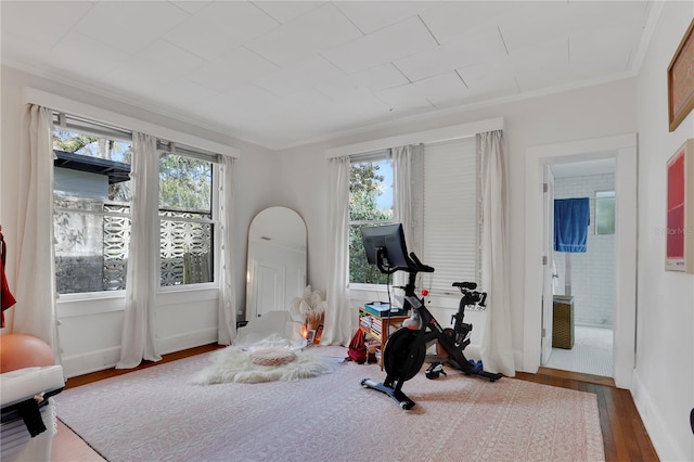 exercise room with hardwood / wood-style flooring, ornamental molding, and plenty of natural light