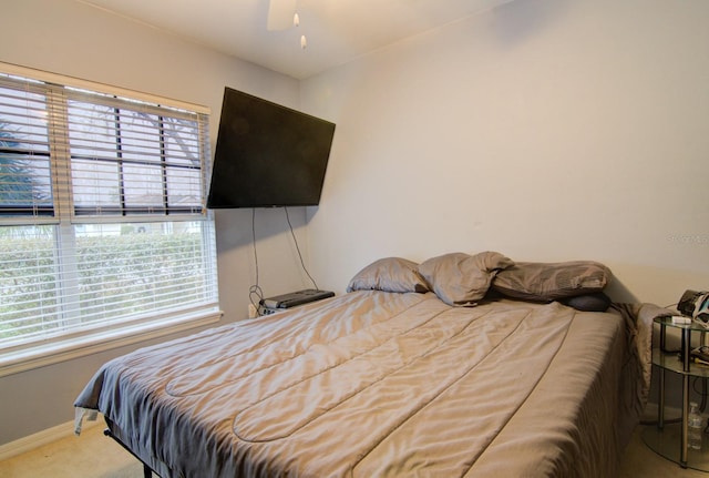 bedroom with carpet