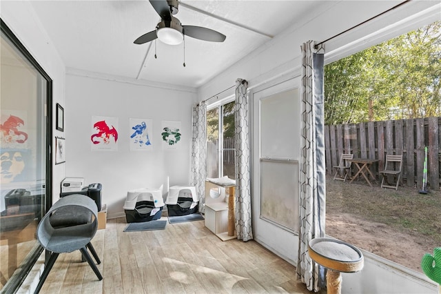 interior space featuring ceiling fan and light hardwood / wood-style flooring