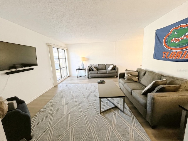 living room with hardwood / wood-style flooring and a textured ceiling