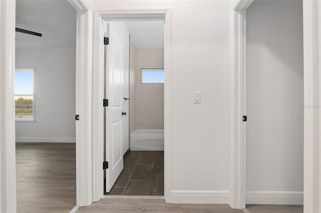 corridor featuring dark wood-type flooring