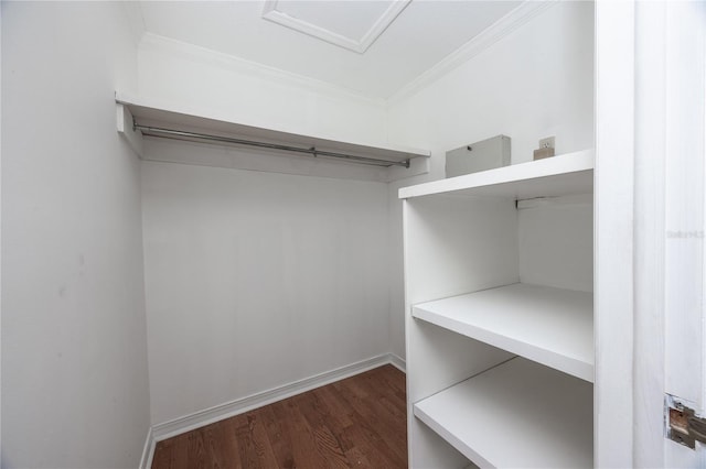 spacious closet featuring dark hardwood / wood-style floors