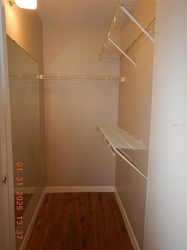 walk in closet with dark wood-type flooring