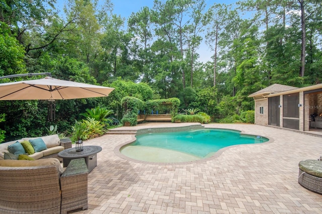 view of swimming pool with a patio and outdoor lounge area