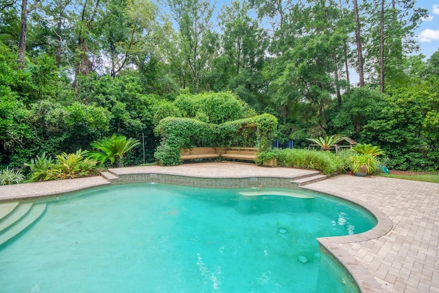 view of swimming pool featuring a patio area