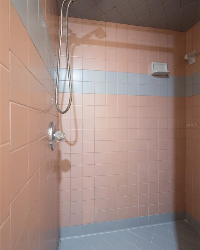 bathroom featuring a tile shower