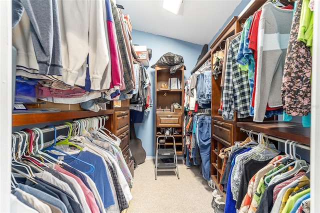 spacious closet featuring light colored carpet