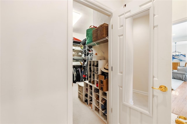 view of spacious closet