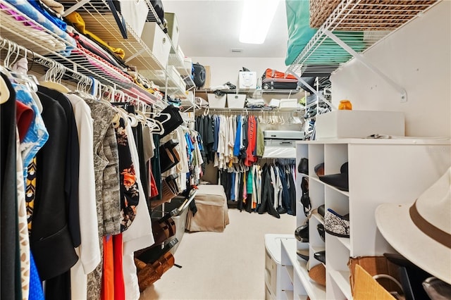 view of walk in closet