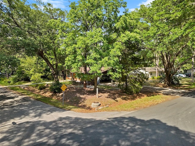 view of obstructed view of property