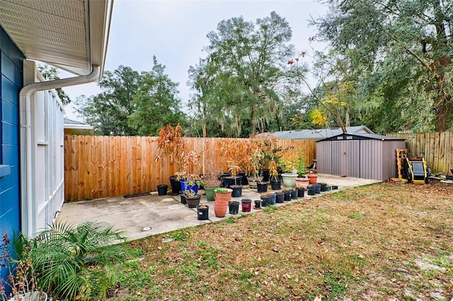 view of yard featuring a storage unit and a patio area