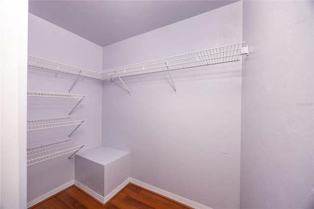 spacious closet with hardwood / wood-style flooring