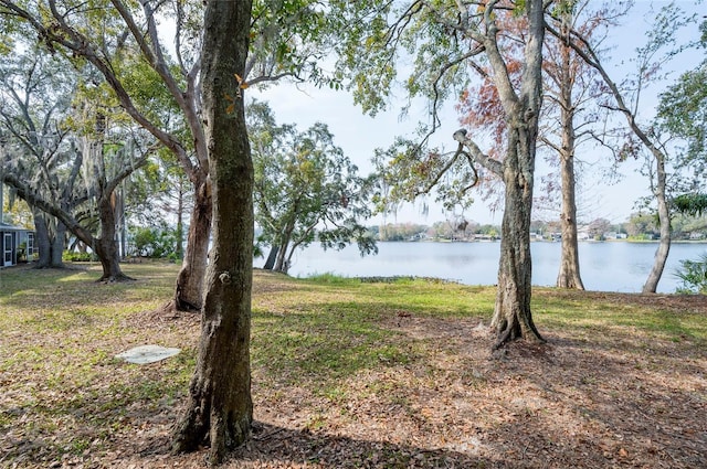 view of yard featuring a water view