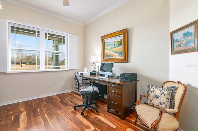 office area featuring ornamental molding and dark hardwood / wood-style flooring