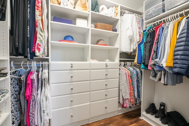 spacious closet featuring dark wood-type flooring