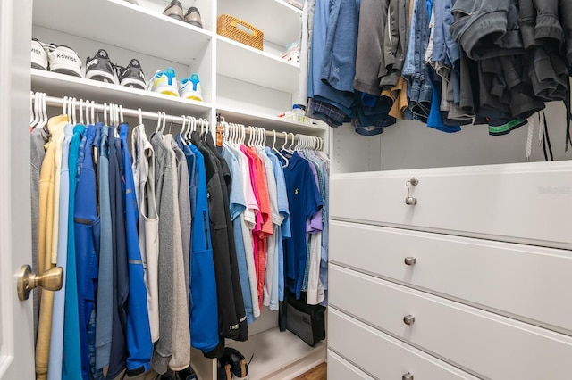 view of spacious closet