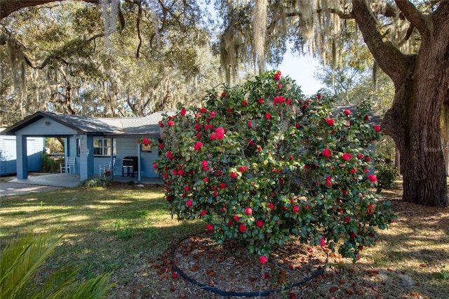 view of yard with a carport