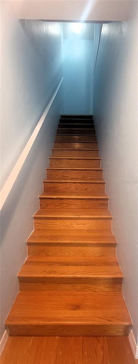 stairway with wood-type flooring