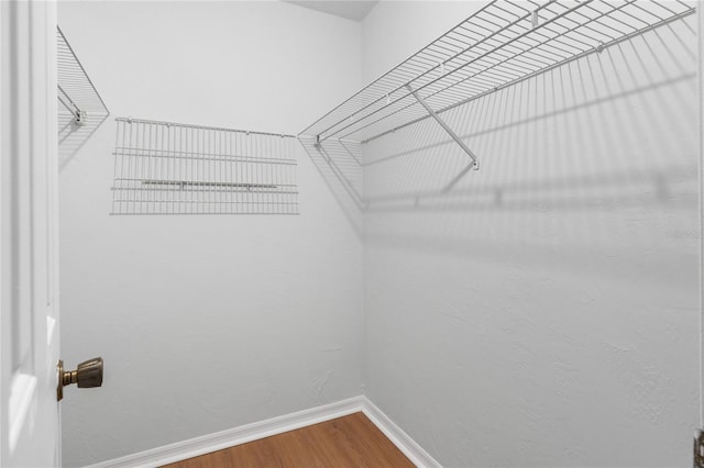 spacious closet with wood-type flooring