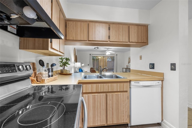 kitchen featuring sink, dishwasher, extractor fan, and electric range