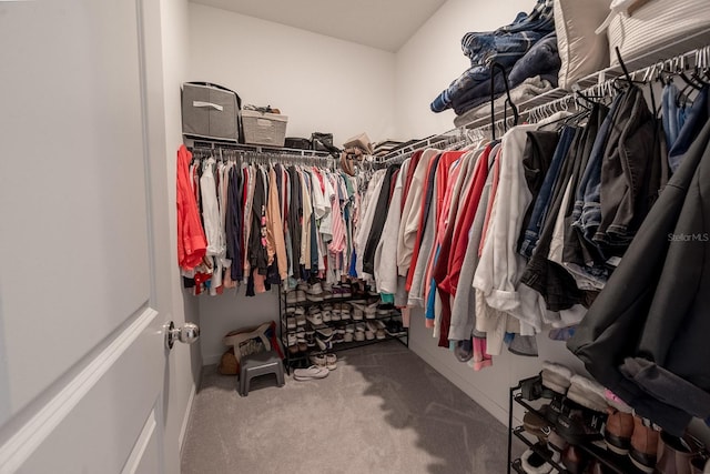 walk in closet featuring carpet flooring