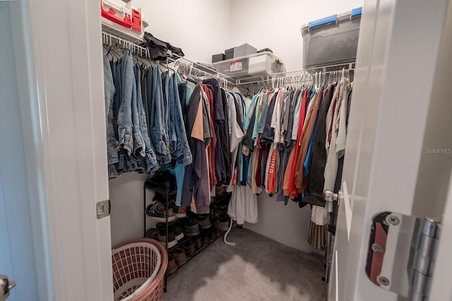 walk in closet with carpet floors