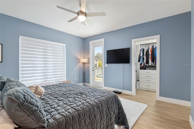 bedroom with ceiling fan, a walk in closet, light hardwood / wood-style floors, and a closet