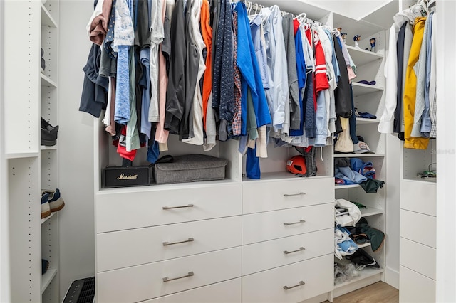 spacious closet with light wood-type flooring