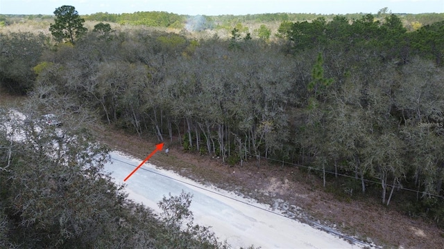 35021 Manuel St, Webster FL, 33597 land for sale