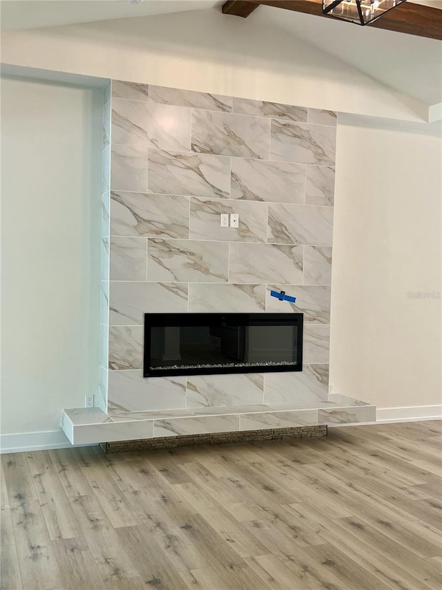 room details featuring hardwood / wood-style flooring and a premium fireplace