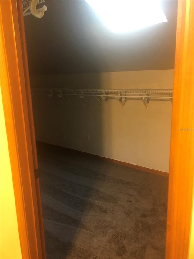 spacious closet with dark colored carpet and lofted ceiling