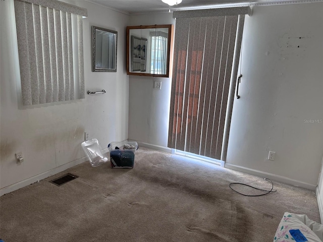 empty room featuring carpet floors