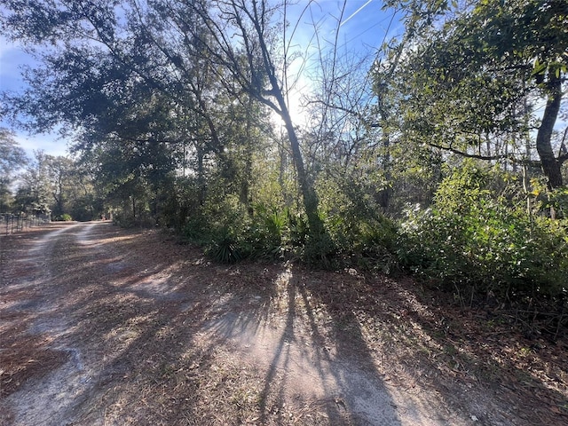 000 NE 822nd St, Old Town FL, 32680 land for sale