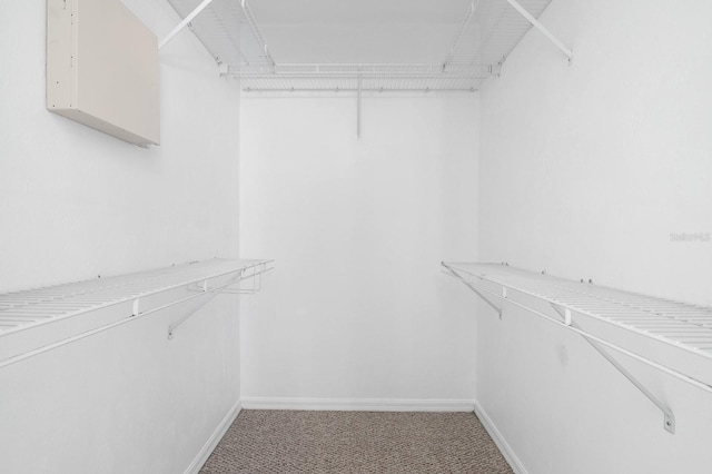 walk in closet with light colored carpet