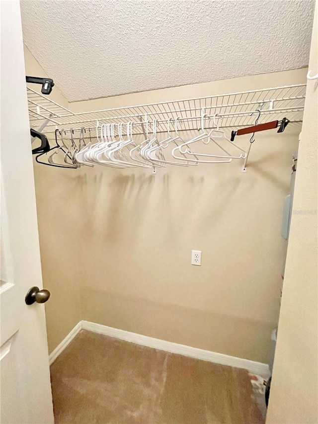 10000 SW 52nd Ave Unit 103, Gainesville, FL 32608 - walk in closet featuring carpet floors