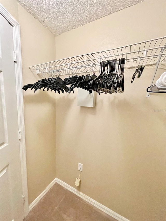 10000 SW 52nd Ave Unit 103, Gainesville, FL 32608 - walk in closet featuring carpet
