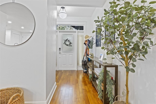 foyer entrance featuring wood-type flooring