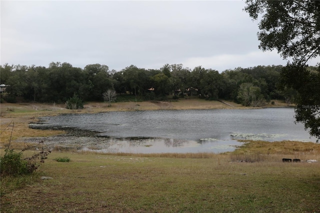 view of water feature