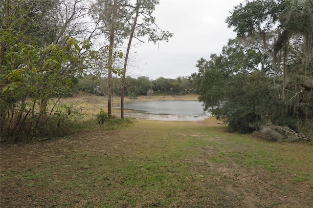 view of water feature