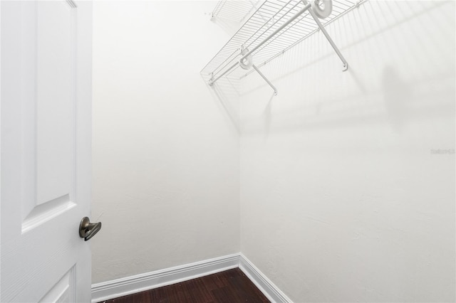 spacious closet with wood-type flooring