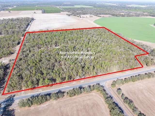 4700 NW County Road 340, Bell FL, 32619 land for sale