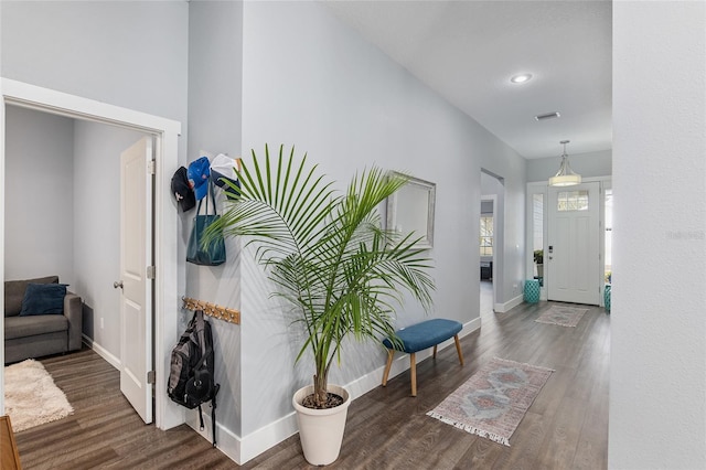 corridor with dark hardwood / wood-style flooring