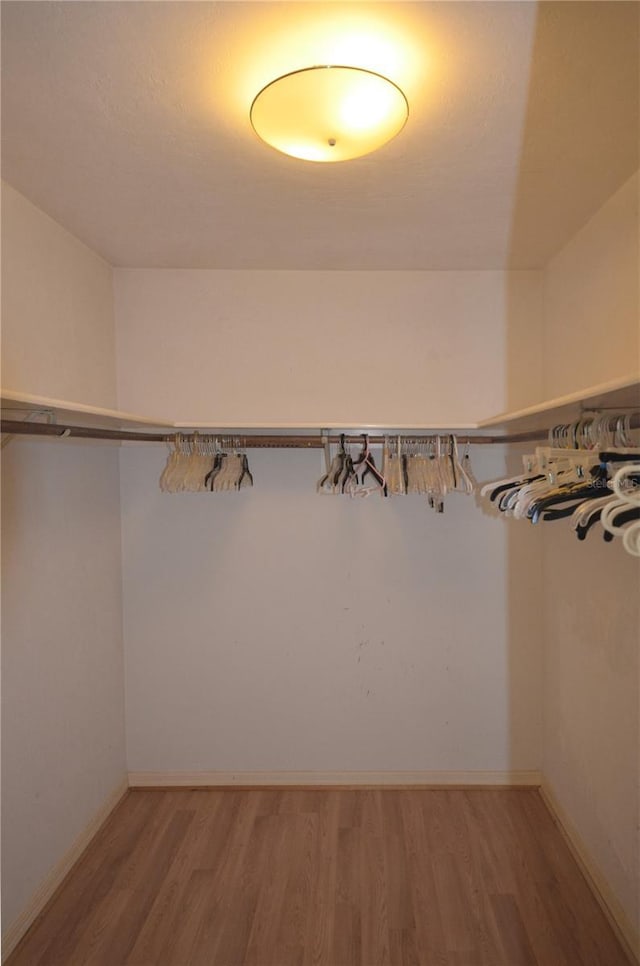 walk in closet with wood finished floors