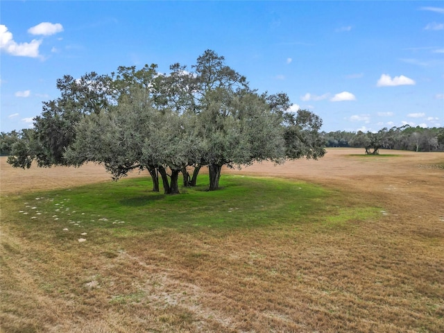 view of yard featuring a rural view