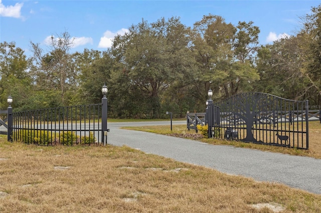 view of gate with a yard