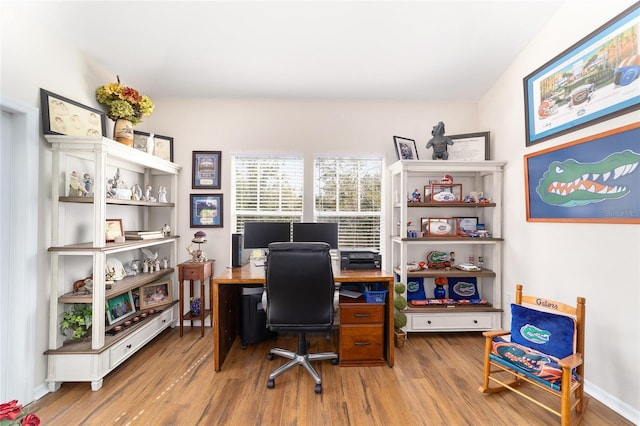 office area featuring hardwood / wood-style flooring