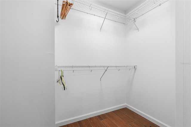 walk in closet with dark hardwood / wood-style flooring