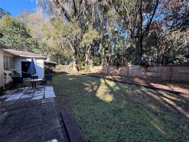 view of yard featuring a patio